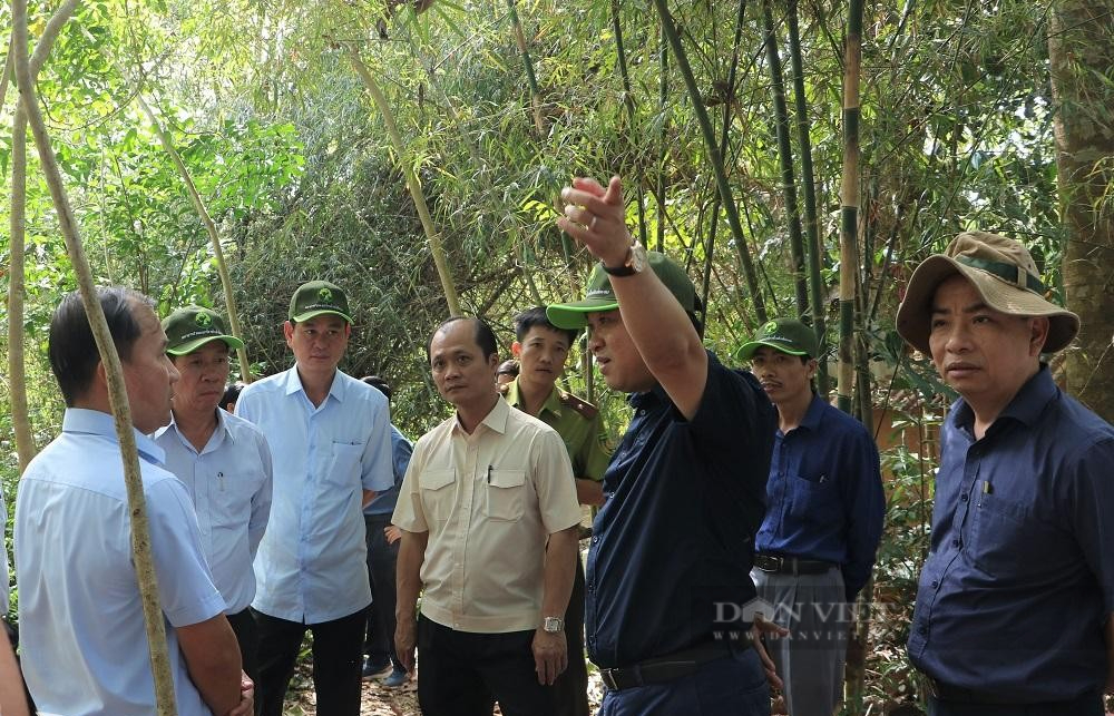Lãnh đạo tỉnh Đồng Nai khảo sát vị trí đầu tư xây dựng cầu Mã Đà - Ảnh 1.