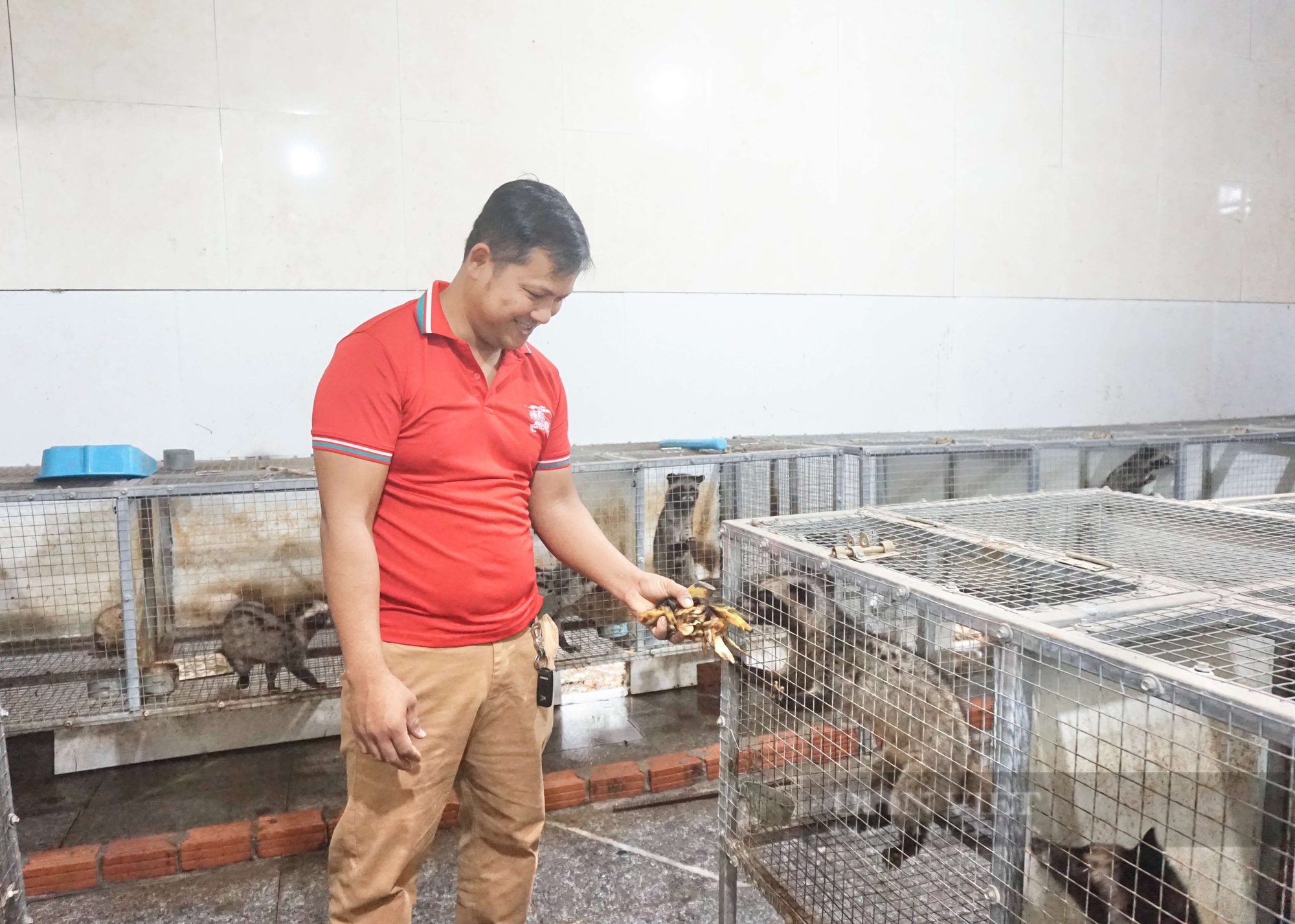 Vật nuôi đặc sản "ăn ngày cày đêm" vốn là con động vật hoang dã, trai Đà Nẵng nuôi thành công, bán hút hàng 4 Đà Nẵng: Nuôi con “ngủ ngày cày đêm”, chàng trai 9X không lo đầu ra, chăm rất nhàn mà thu lãi cao - Ảnh 4.