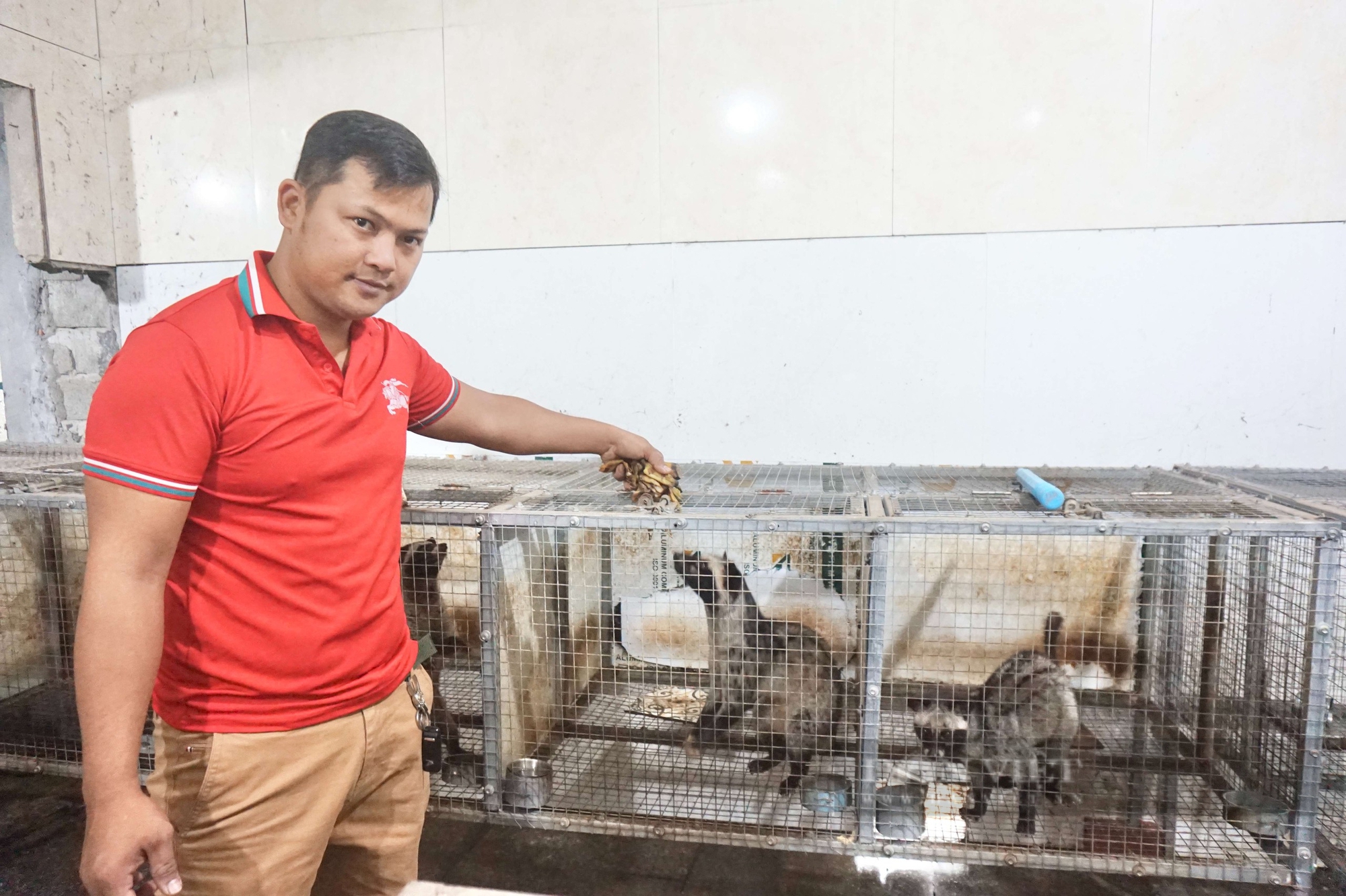 Vật nuôi đặc sản "ăn ngày cày đêm" vốn là con động vật hoang dã, trai Đà Nẵng nuôi thành công, bán hút hàng 7 Đà Nẵng: Nuôi con “ngủ ngày cày đêm”, chàng trai 9X không lo đầu ra, chăm rất nhàn mà thu lãi cao - Ảnh 7.