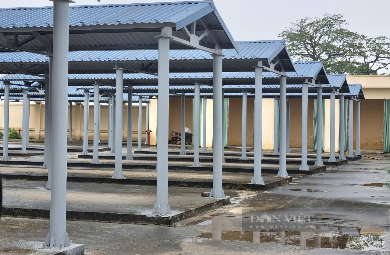 Khai trương chợ trung tâm của một xã ở Ninh Bình sau 9 bỏ hoang- Ảnh 5. Khai trương chợ trung tâm của một xã ở Ninh Bình sau 9 bỏ hoang- Ảnh 5.