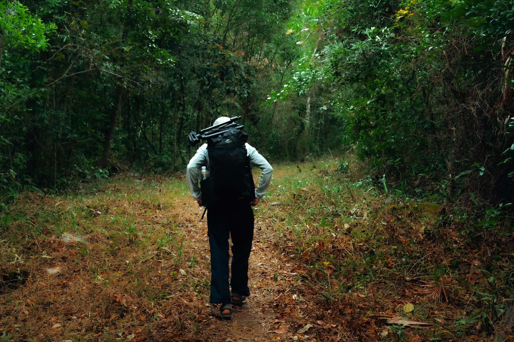 Theo chân chàng kỹ thuật viên máy tính trekking lên đỉnh núi có độ cao 2.442m nơi khu rừng già ma mị - Ảnh 2.