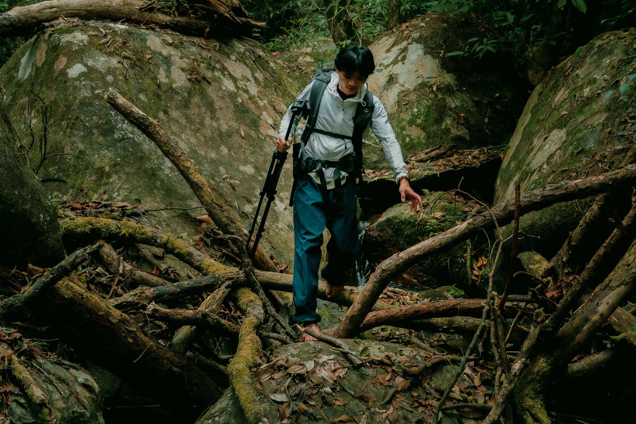 Theo chân chàng kỹ thuật viên máy tính trekking lên đỉnh núi có độ cao 2.442m nơi khu rừng già ma mị - Ảnh 3.