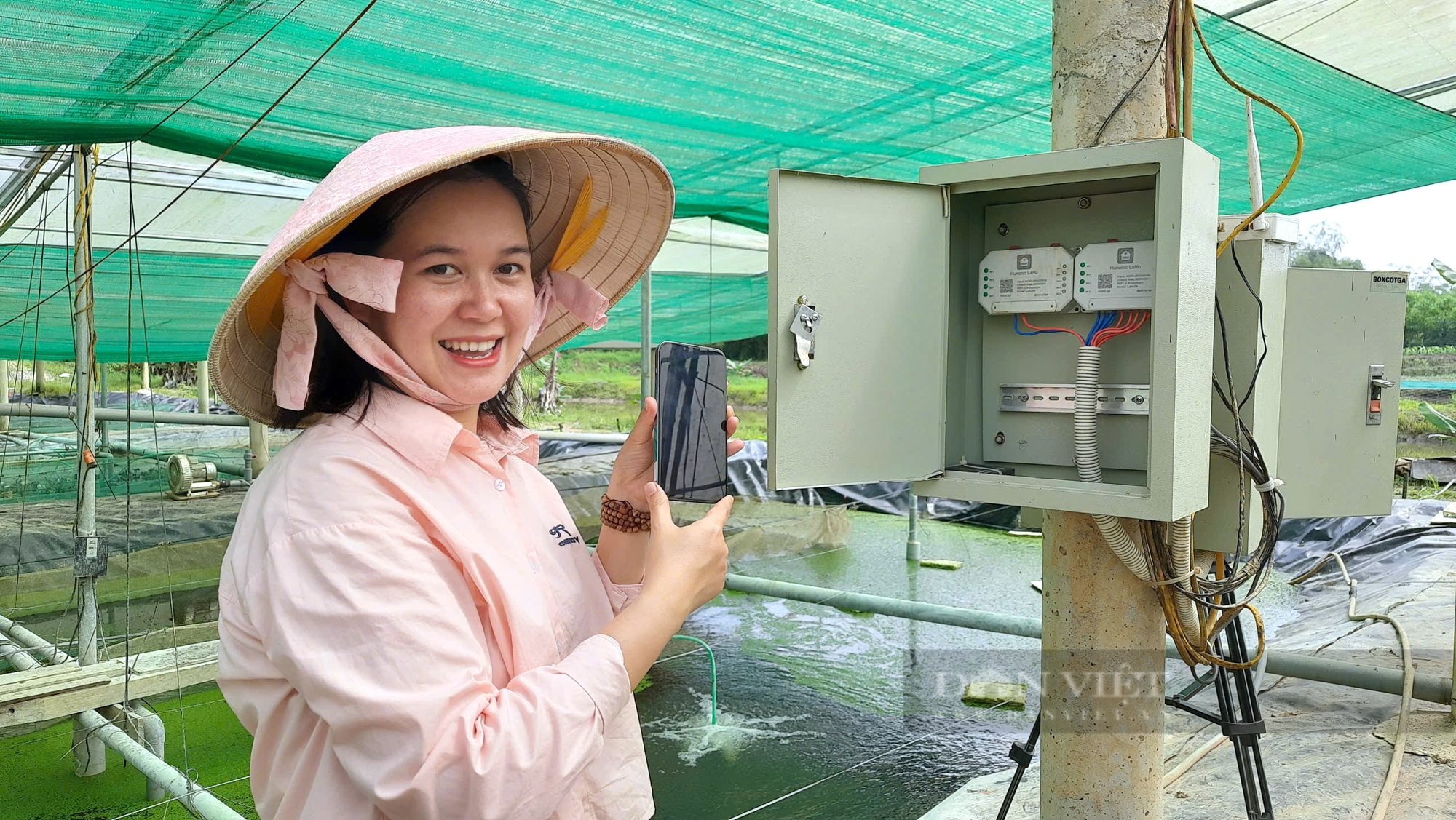 Nuôi ốc bươu đen công nghệ cao, cô nông dân ở Quảng Trị bán hút hàng- Ảnh 4. Nuôi ốc bươu đen công nghệ cao, cô nông dân ở Quảng Trị bán hút hàng- Ảnh 4.
