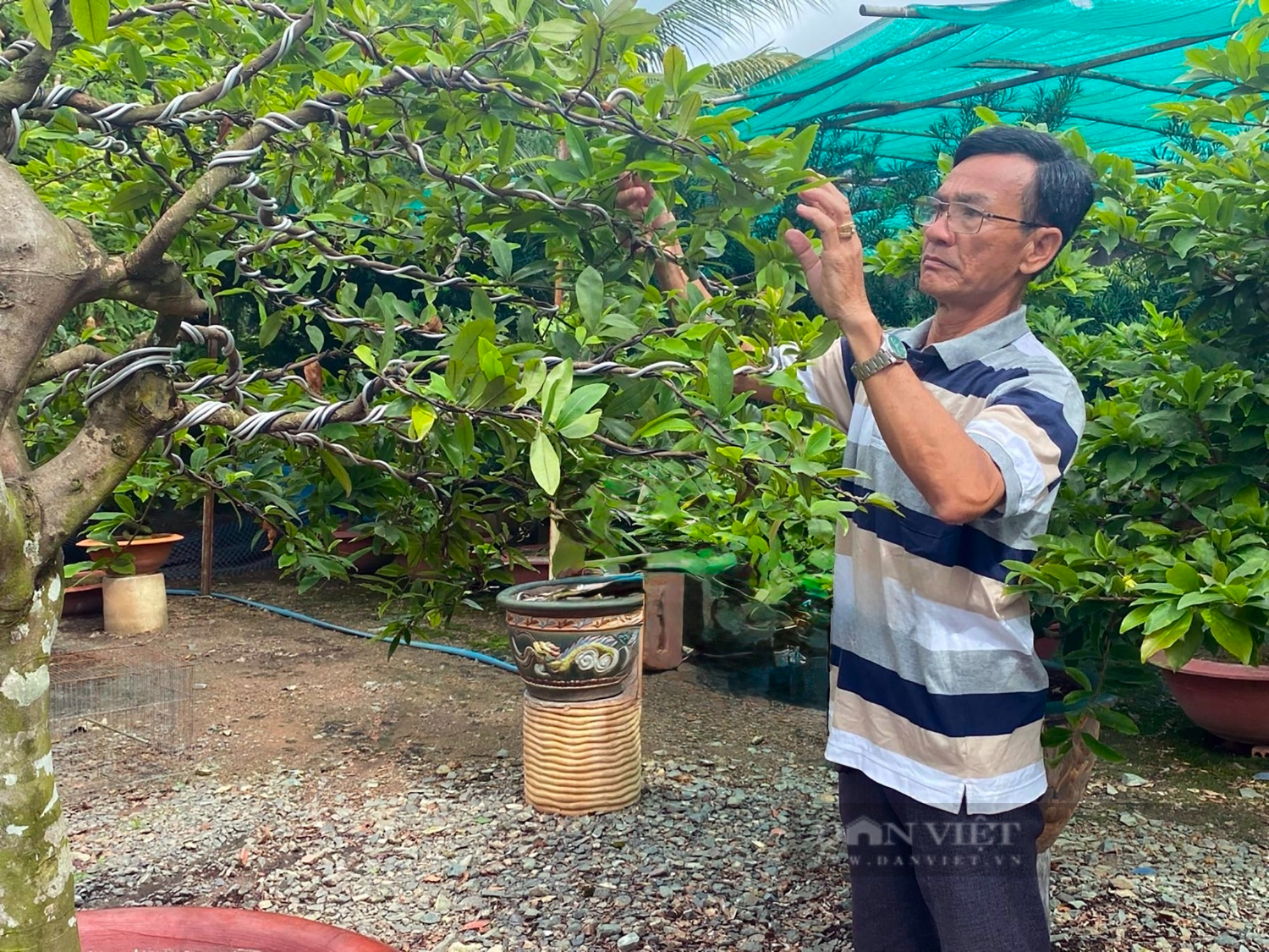 3 nông dân được bình chọn “Công dân Bình Phước ưu tú” dịp kỷ niệm 50 năm Ngày giải phóng tỉnh Bình Phước 2 3 nông dân được vinh danh “Công dân Bình Phước ưu tú” nhân dịp kỷ niệm 50 năm Ngày giải phóng tỉnh Bình Phước - Ảnh 2.