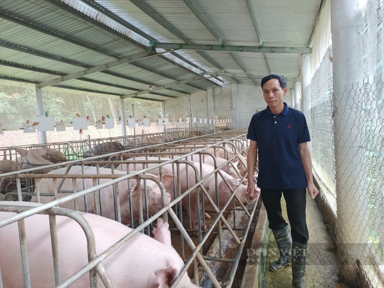 3 nông dân được bình chọn “Công dân Bình Phước ưu tú” dịp kỷ niệm 50 năm Ngày giải phóng tỉnh Bình Phước 1 3 nông dân được vinh danh “Công dân Bình Phước ưu tú” nhân dịp kỷ niệm 50 năm Ngày giải phóng tỉnh Bình Phước - Ảnh 1.