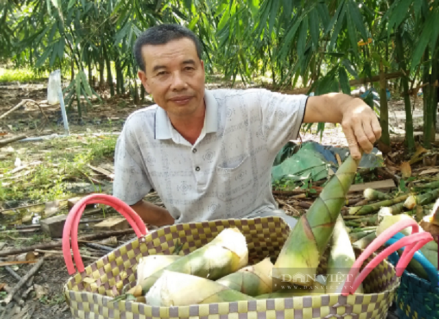 3 nông dân được bình chọn “Công dân Bình Phước ưu tú” dịp kỷ niệm 50 năm Ngày giải phóng tỉnh Bình Phước 3 3 nông dân được vinh danh “Công dân Bình Phước ưu tú” nhân dịp kỷ niệm 50 năm Ngày giải phóng tỉnh Bình Phước - Ảnh 3.