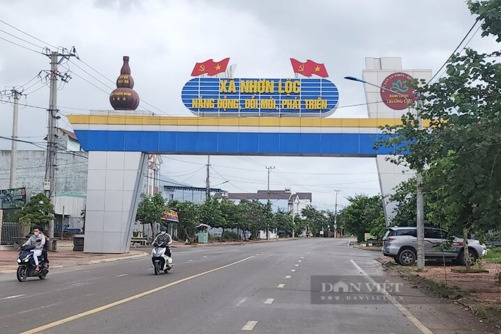 Chuyện 'lạ' ở Bình Định: Dân không có nhu cầu về đất ở… vẫn được xét giao đất ở- Ảnh 2. Chuyện 'lạ' ở Bình Định: Dân không có nhu cầu về đất ở… vẫn được xét giao đất ở- Ảnh 2.