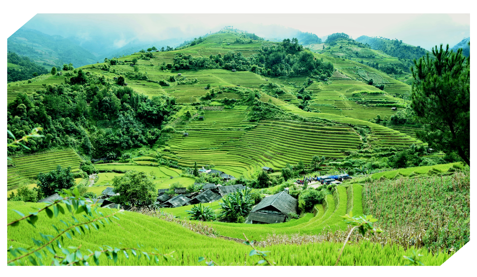 Phó Chủ tịch QH Lê Minh Hoan, Bộ trưởng Đỗ Đức Duy viết chung bài về nông nghiệp tuần hoàn, môi trường bền vững- Ảnh 1.