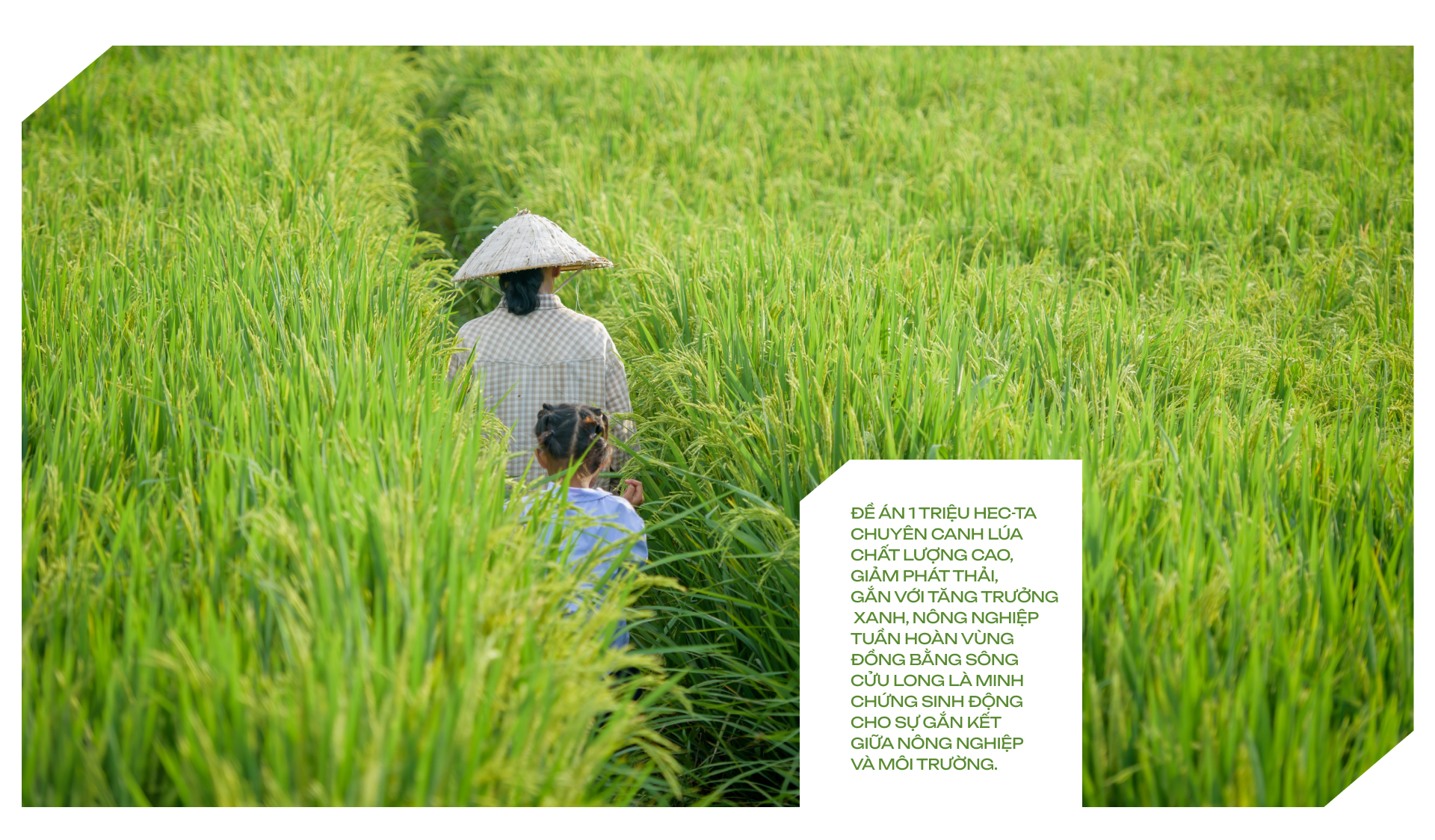 Phó Chủ tịch QH Lê Minh Hoan, Bộ trưởng Đỗ Đức Duy viết chung bài về nông nghiệp tuần hoàn, môi trường bền vững- Ảnh 6.