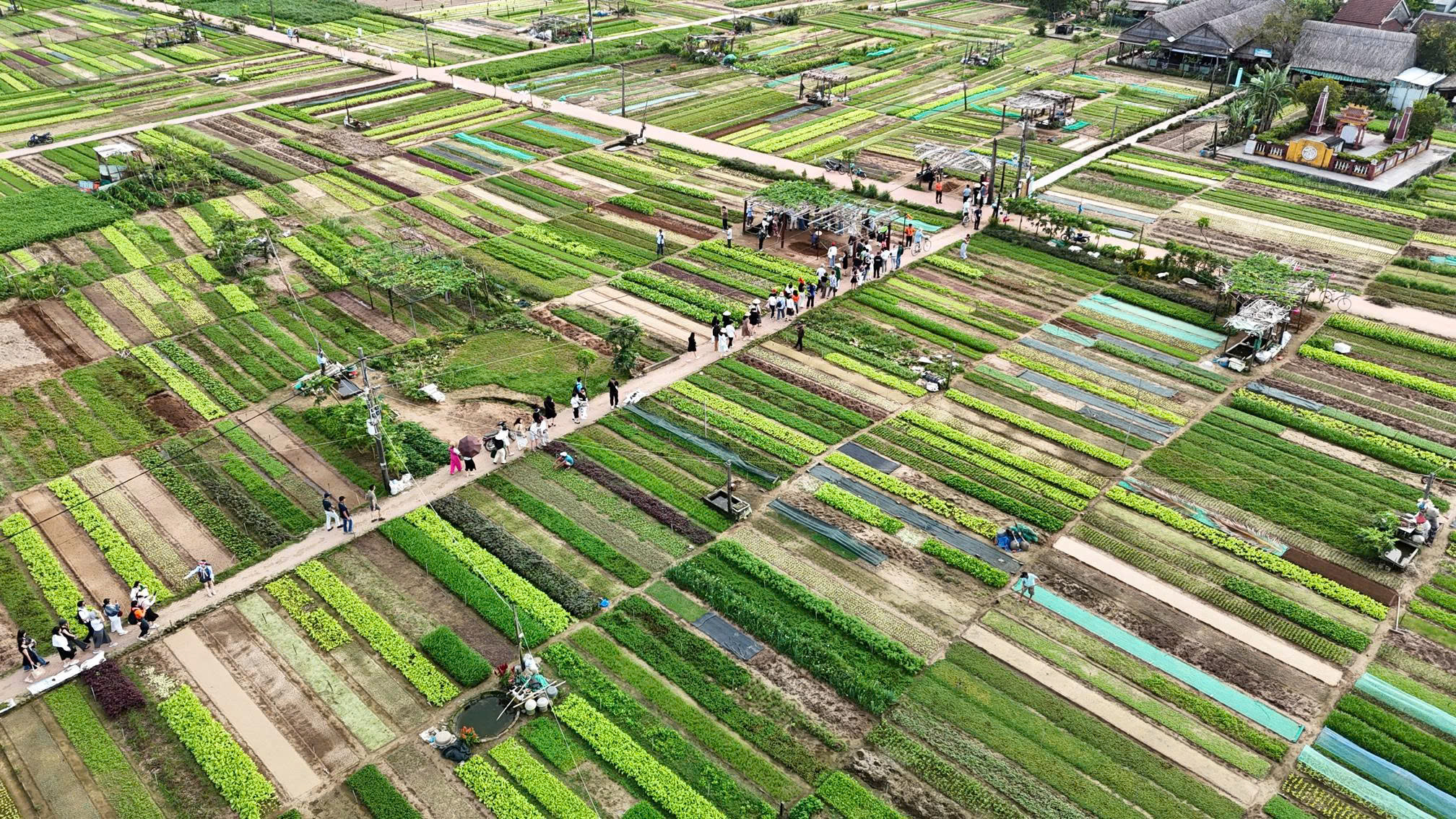 Quảng Nam: Sớm hoàn thiện hạ tầng giao thông cung đường di sản Hội An - Mỹ Sơn - Cổng trời Đông Giang- Ảnh 2.