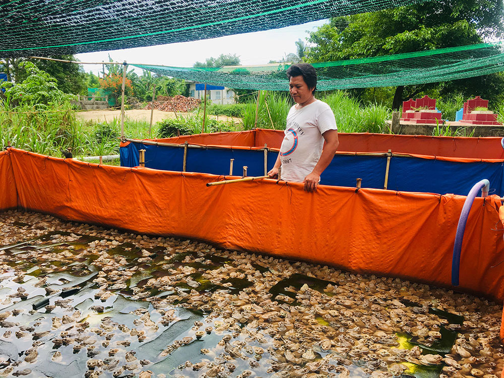 Mô hình nuôi ếch xen cá cho hiệu quả cao của anh Nguyễn Minh Nhựt  Kinh  nghiệm làm ăn  Báo ảnh Dân tộc và Miền núi