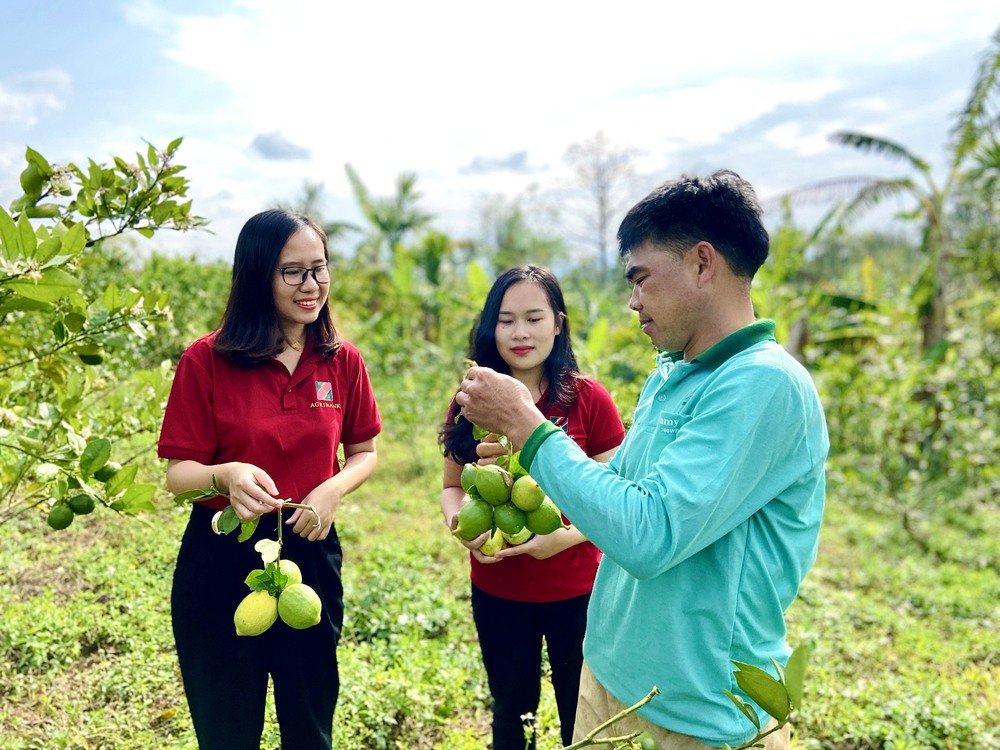 Tự hào NDVN 2024: Cùng Hội Nông dân, Agribank kiến tạo tương lai tươi sáng cho nông nghiệp Việt- Ảnh 13.