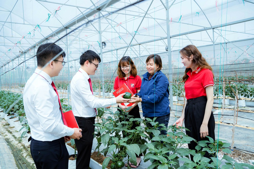 Tự hào NDVN 2024: Cùng Hội Nông dân, Agribank kiến tạo tương lai tươi sáng cho nông nghiệp Việt- Ảnh 12.