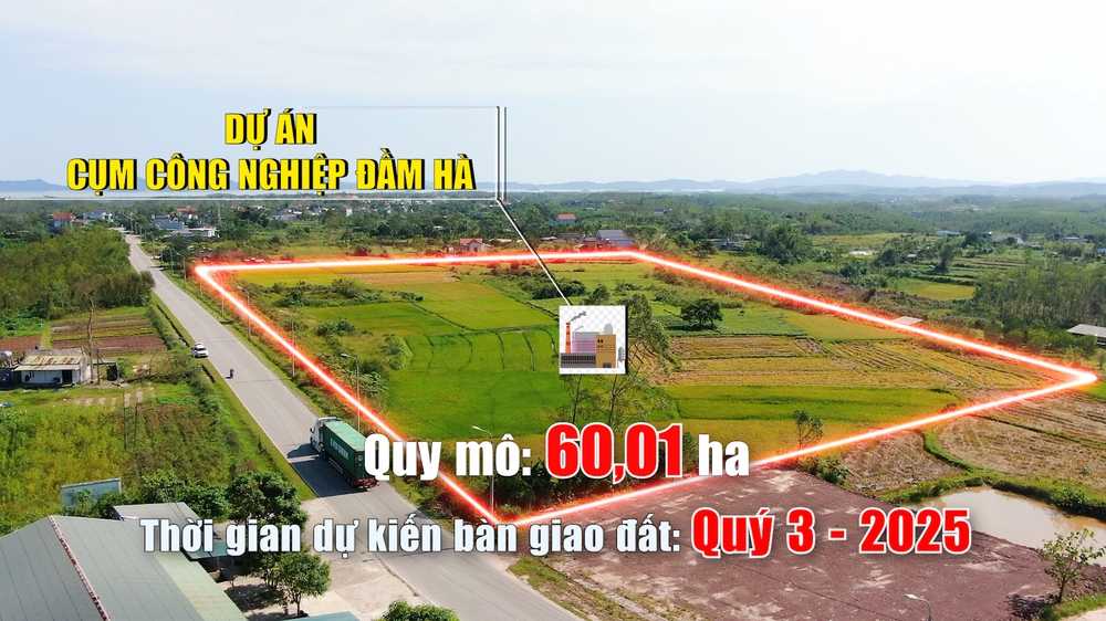 Quảng Ninh: Đầm Hà trên "đường băng cất cánh" - Ảnh 26.