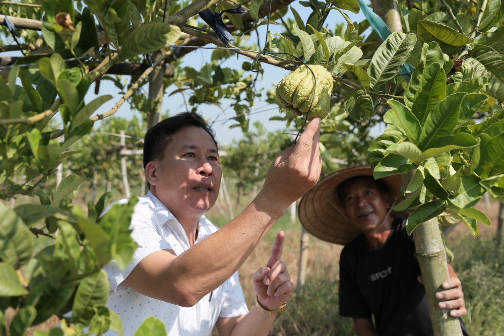 Nông thôn mới Tân Hoà - Nơi miền quên đáng sống (bài 2) - Ảnh 5.