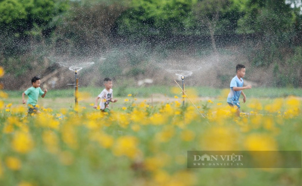 Toàn cảnh hành lang thoát lũ sông Hồng, sông Đuống bị đe dọa - Ảnh 49.