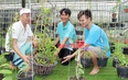 Nhiều giò lan rừng đột biến tiền tỷ của một tay chơi thứ thiệt đất Bình Phước