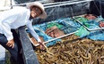 Bạc Liêu: Chàng tỷ phú nông dân nuôi la liệt cá, tôm &quot;độc, lạ&quot; bắt bán cả trăm tấn mà phát tài