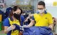 Tăng tốc sản xuất cuối năm, doanh nghiệp gặp khó vì thiếu lao động