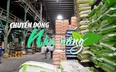 Chuyển động Nhà nông 13/11: Việt Nam chi 8,1 tỷ USD cho nhập khẩu thức ăn chăn nuôi và nguyên liệu