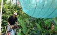 Nuôi con đặc sản đuổi cũng không chạy, bơi chậm như rùa, anh nông dân Cà Mau thu 30 triệu/tháng