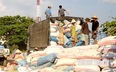 Trung Quốc tăng mua, nông dân phấn khởi vì giá mì tăng cao