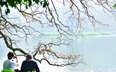 Hà Nội mùa cây thay lá