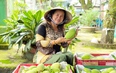 Nông dân Việt Nam xuất sắc 2022 đến từ tỉnh Đồng Tháp là người đưa trái xoài xứ sen hồng xuất ngoại