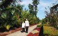 Hậu Giang: Đường hoa nông thôn mới, trồng cây cảnh miên man khiến dân tình "phát sốt"