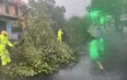 Video: Lực lượng Công an Thừa Thiên Huế cưa, dọn cây xanh ngã đổ, khắc phục hậu quả bão Noru
