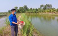 Nuôi cá trê vàng, nông dân nơi này ở Long An kiếm bộn tiền