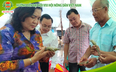 Hướng đến Đại hội VIII Hội Nông dân Việt Nam: Chuyện về những câu lạc bộ nông dân tỷ phú ở Bến Tre (Bài 3)
