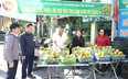 Ninh Bình: Giới thiệu, hỗ trợ tiêu thụ sản phẩm cam vàng Hà Giang