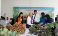 Gala "Nông dân Sơn La với tiêu thụ nông sản" sẽ được tường thuật trực tiếp trên Báo Dân Việt