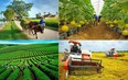 Video: Hành trình tìm chủ nhân Giải báo chí toàn quốc viết về "Nông nghiệp, Nông dân, Nông thôn Việt Nam" 2023