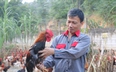 Tỷ phú nuôi gà thả vườn ở Lào Cai, ngồi nhà thấy được hết đàn gà trong chuồng, ngoài sân