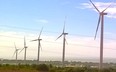 Sai phạm cho thuê đất tại các dự án điện gió, điện mặt trời ở Ninh Thuận