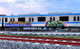 TP.HCM: Một đoàn tàu của metro số 1 tiếp tục bị vẽ bậy