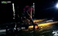 Đồng Nai: Tìm kiếm nạn nhân đuối nước do trượt chân khi tắm trên hồ Trị An