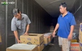 Hành trình đưa chuối Việt Nam xuất khẩu vào thị trường Hàn Quốc, Trung Đông