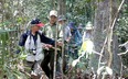 Vùng đất này ở Đồng Nai, đi vô rừng thấy những cây thuốc lạ lắm, các nhà khoa học y tế đã vào xem