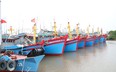 Ứng phó với bão số 1 Talim, tỉnh Nam Định thực hiện cấm biển từ 12 giờ trưa ngày 17/7