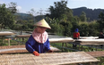 Nhờ cách làm này, nông dân ở Lai Châu có thêm việc làm, gia tăng thu nhập
