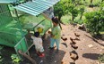 Được trao gà giống, lợn giống, vật dụng nuôi tằm, người  nghèo ở Lâm Đồng cam kết nuôi tốt, vươn lên