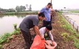 Nơi này ở Hà Nam, nông dân quây bạt ngoài đồng nuôi con vật đặc sản gì mà nhiều người đến xem?