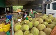 Sức mua của Trung Quốc tăng tới 134%, Việt Nam dự kiến thu 5 tỷ USD nhờ bán sầu riêng, thanh long, chuối