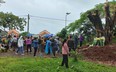 Thông tin mới vụ gốc cây si có &quot;hình mặt người&quot; ở Gia Lai: Di chuyển cây si về nhà thờ để trồng, chăm sóc