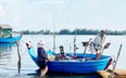 Ở một vịnh biển đẹp nổi tiếng của Quảng Ngãi, dân câu thứ cá gì mà bán 300.000 đồng/kg, thu 2-3 triệu/đêm?