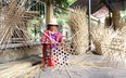 Làm thế nào TP.HCM phát triển vùng nguyên liệu cho ngành nghề nông thôn, làng nghề?