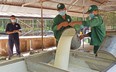 Doanh nghiệp Trung Quốc xây nhà máy sản xuất lốp xe ở tỉnh Bình Phước, giá mủ của một loại cây sẽ tăng?